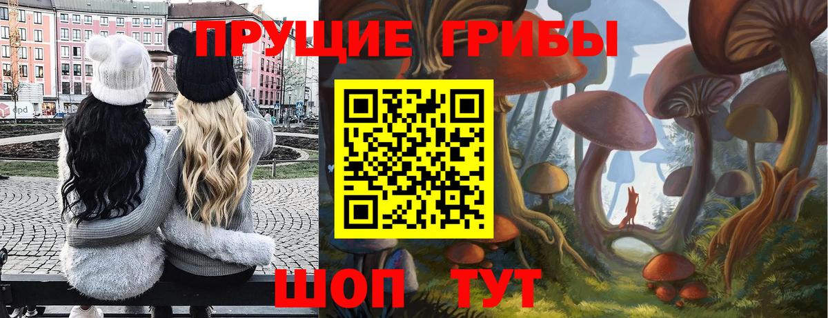 Псилоцибиновые грибы MAGIC MUSHROOMS  Вход с VPN  Галлюциногенные грибы Magic Shrooms  Ухта 