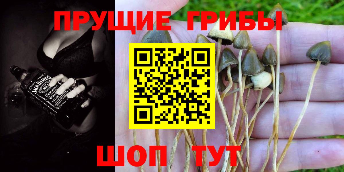 Псилоцибиновые грибы прущие грибы Ухта